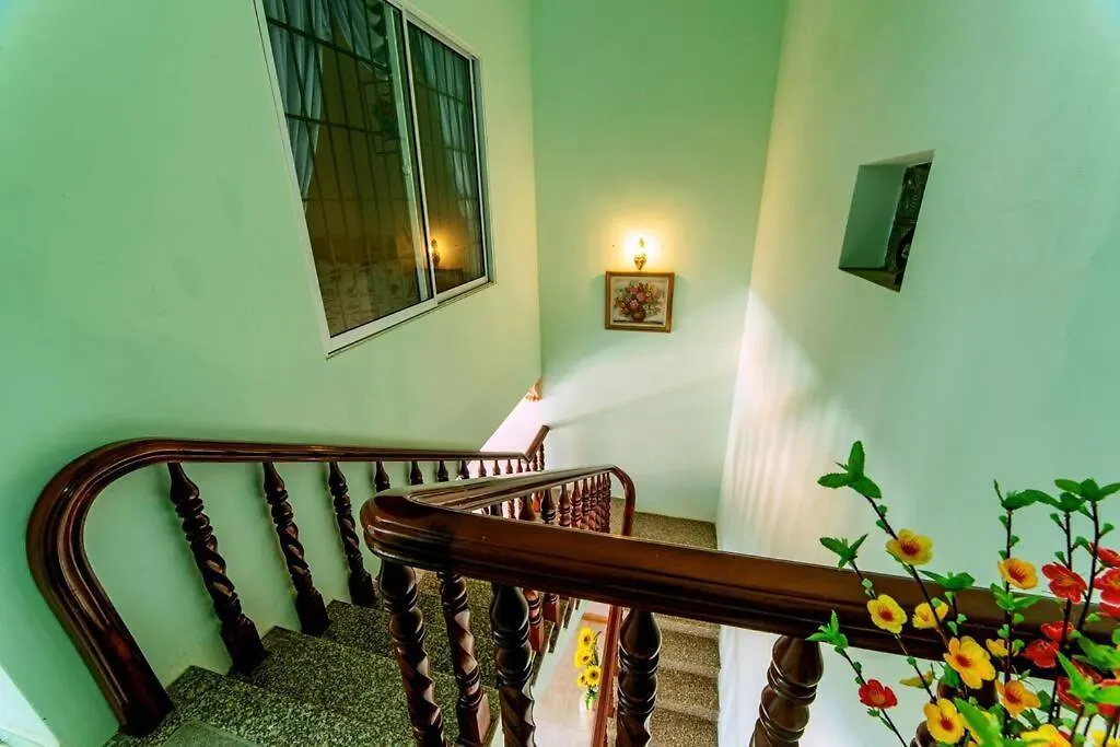 Hoa Giay Villa Vung Tau